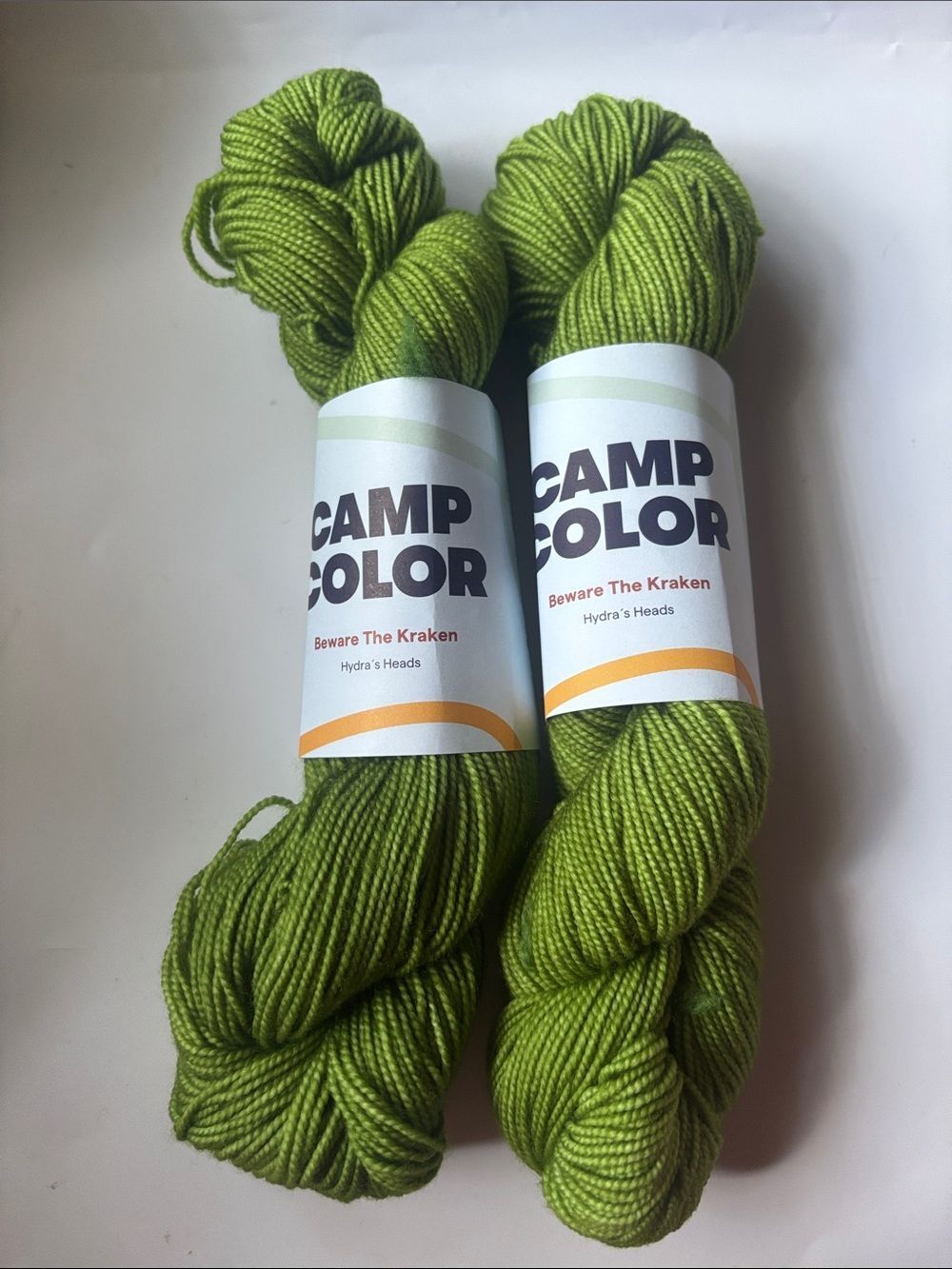 2 New Camp Color Fingering Superwash Merino High Fidelity Yarn in Hydra’s Heads